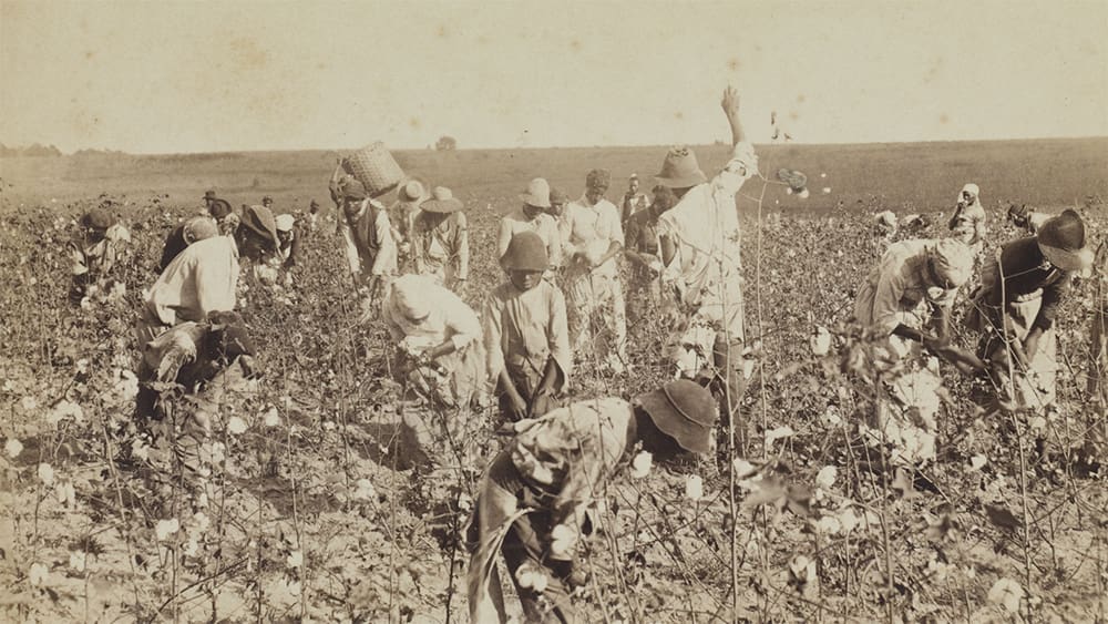 Slaves in Florida working in a field of crops